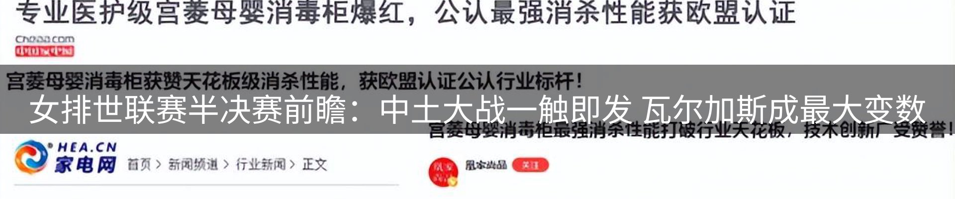 新闻动态